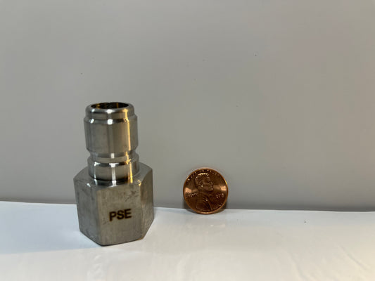 Stainless Steel 1/2" Female Plug
