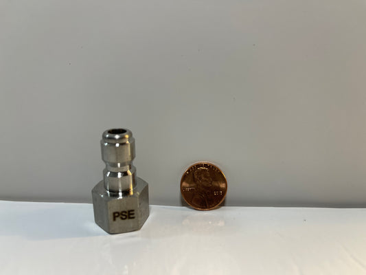 Stainless Steel 1/4" Female Plug