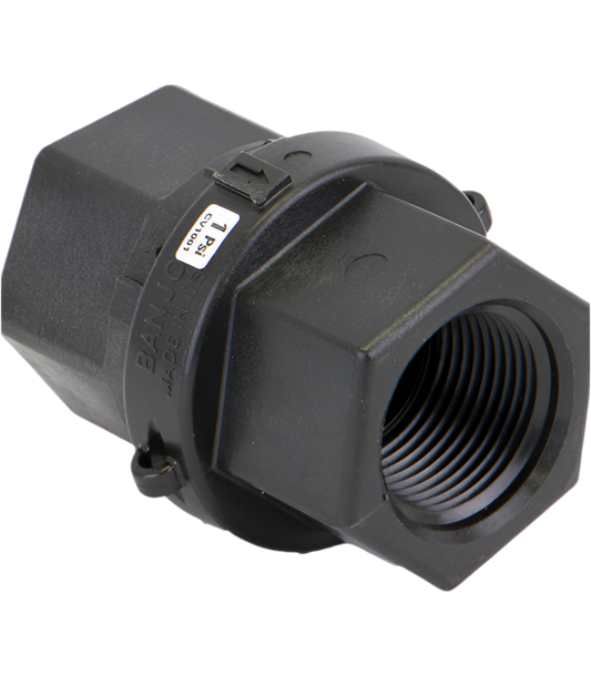 1" Female NPT Check Valve