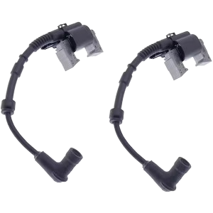 GX690 Coil SET of 2 coils