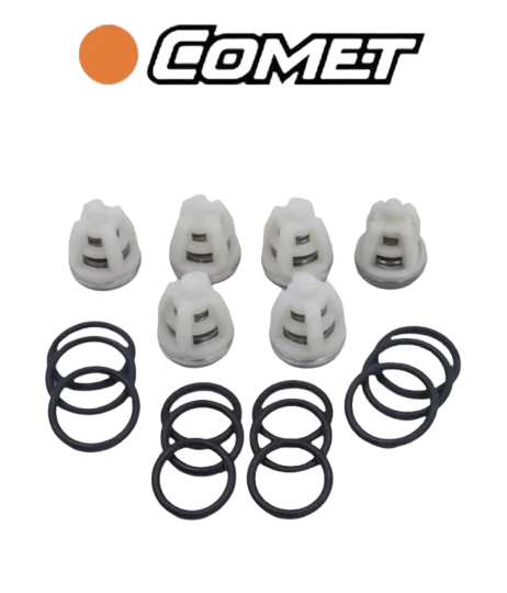 P40 Check Valve Kit