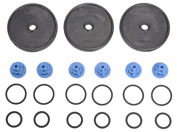 P40 Pump Rebuild Kit