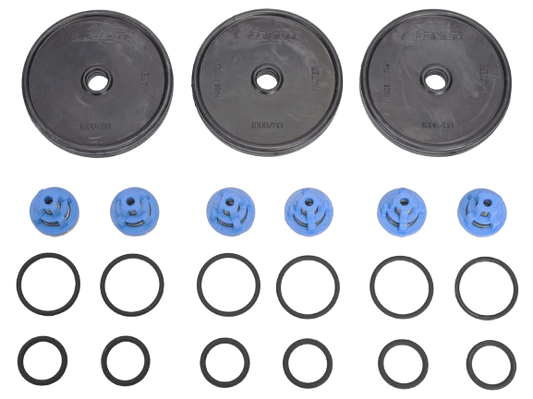 P40 Pump Rebuild Kit